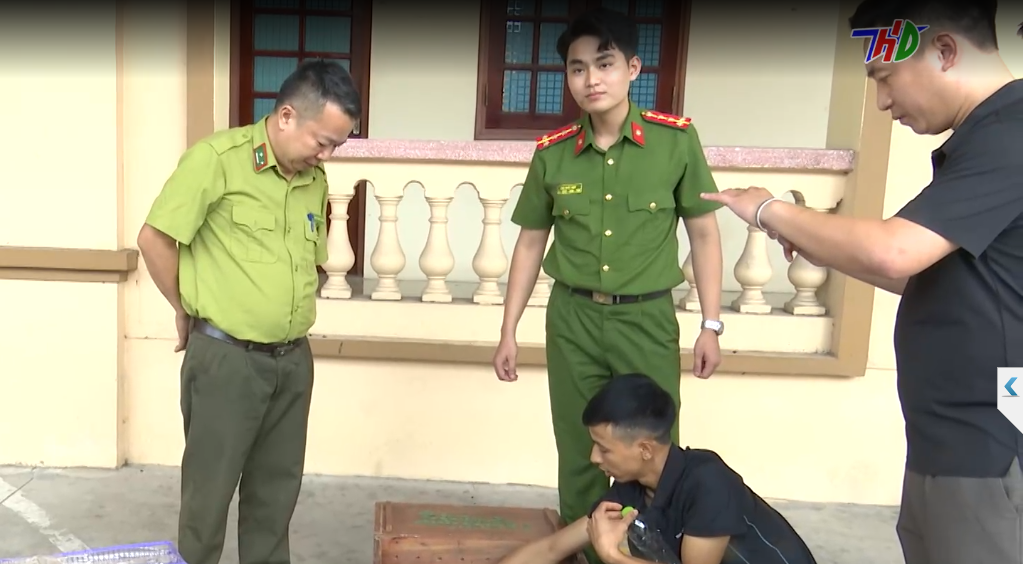 CÔNG AN HUYỆN BÌNH GIANG TẠM GIỮ HÌNH SỰ 2 ĐỐI TƯỢNG BUÔN BÁN ĐỘNG VẬT QUÝ HIẾM